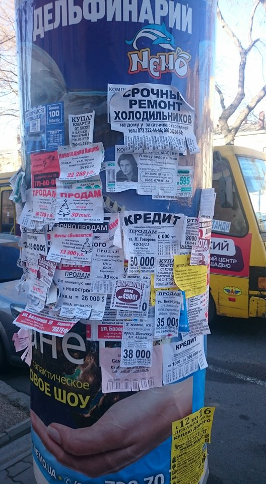 26103198_10213365780846596_1716013606_n