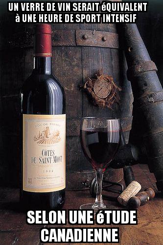 un-verre-de-vin-serait-equivalent-a-une-heure-de-sport-intensif-0-934