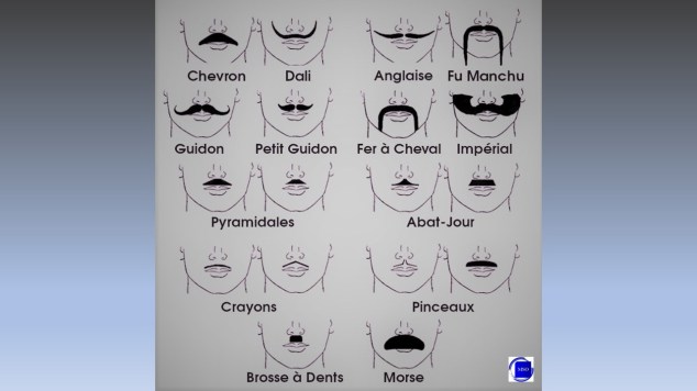 A chacun sa moustache