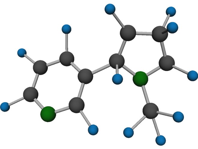 molecule-nicotine-c10h14n2