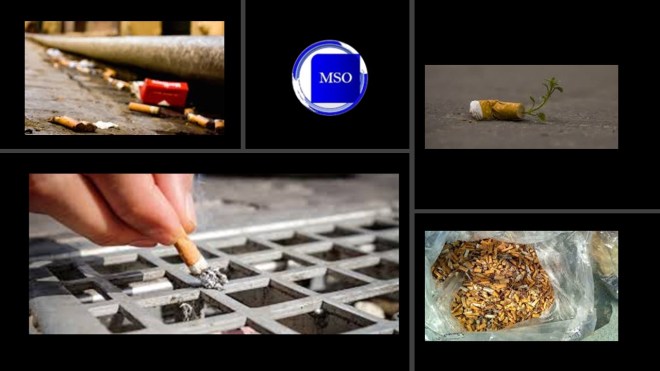 Mégots de cigarettes