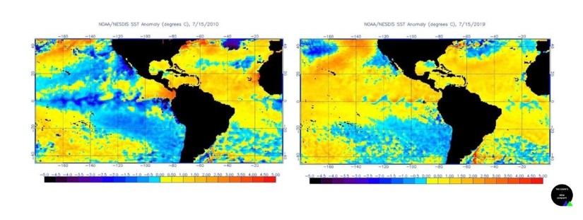 Comparaison d'anomalies des températures des océans Atlantique et Pacifique du 15 Juillet 2010 et 15 Juillet 2019 image